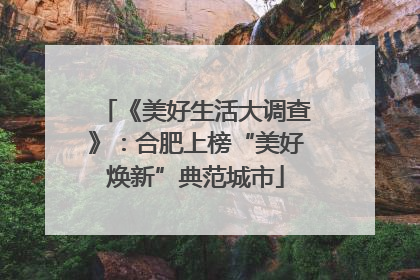 《美好生活大调查》：合肥上榜“美好焕新”典范城市