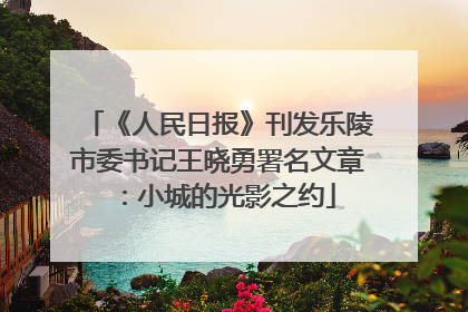 《人民日报》刊发乐陵市委书记王晓勇署名文章：小城的光影之约