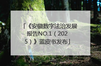 《安徽数字法治发展报告NO.1（2025）》蓝皮书发布