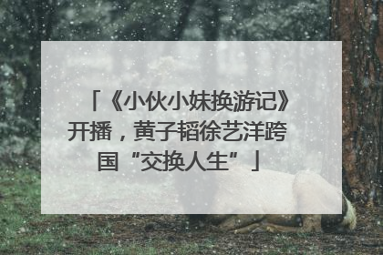 《小伙小妹换游记》开播，黄子韬徐艺洋跨国“交换人生”