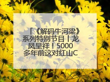 《解码牛河梁》系列特别节目丨龙凤呈祥！5000多年前这对红山CP竟这么好嗑