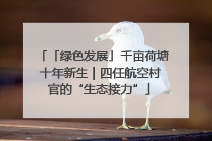 「绿色发展」千亩荷塘 十年新生｜四任航空村官的“生态接力”