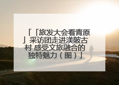 「旅发大会看青原」采访团走进渼陂古村 感受文旅融合的独特魅力（图）