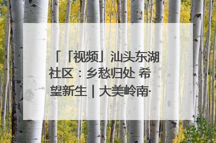 「视频」汕头东湖社区：乡愁归处 希望新生｜大美岭南·百村焕新记