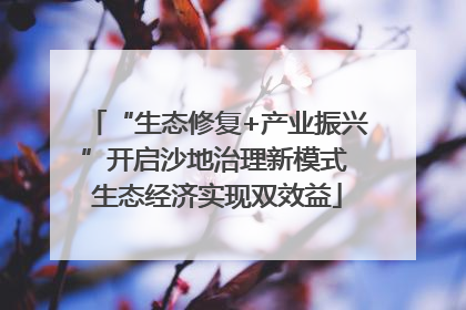 “生态修复+产业振兴”开启沙地治理新模式 生态经济实现双效益