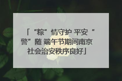 “粽”情守护 平安“警”随 端午节期间南京社会治安秩序良好