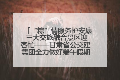 “粽”情服务护安康 三大交旅融合景区迎客忙——甘肃省公交建集团全力做好端午假期景区运营工作
