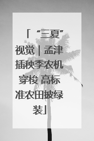 “三夏”视觉｜孟津插秧季农机穿梭 高标准农田披绿装