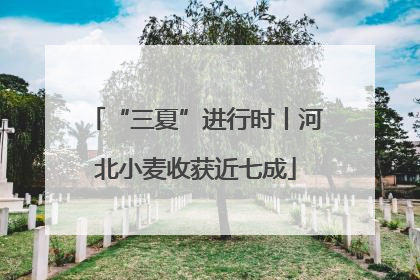 “三夏”进行时丨河北小麦收获近七成