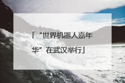 “世界机器人嘉年华”在武汉举行