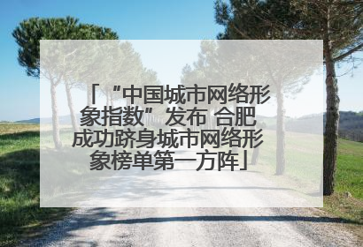 “中国城市网络形象指数”发布 合肥成功跻身城市网络形象榜单第一方阵