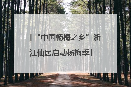 “中国杨梅之乡”浙江仙居启动杨梅季