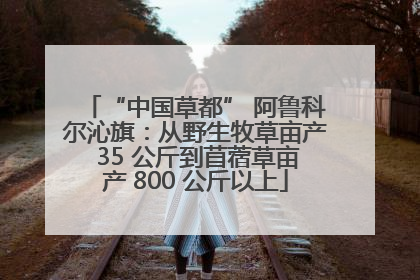 “中国草都” 阿鲁科尔沁旗：从野生牧草亩产 35 公斤到苜蓿草亩产 800 公斤以上