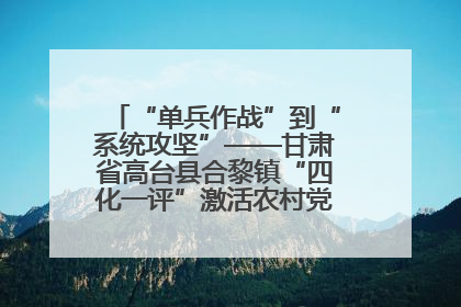 “单兵作战”到“系统攻坚”——甘肃省高台县合黎镇“四化一评”激活农村党员管理新引擎