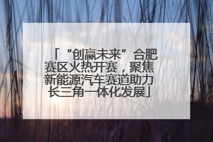 “创赢未来”合肥赛区火热开赛，聚焦新能源汽车赛道助力长三角一体化发展