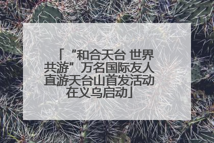 “和合天台 世界共游”万名国际友人直游天台山首发活动在义乌启动
