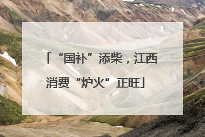 “国补”添柴，江西消费“炉火”正旺