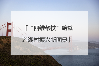 “四维帮扶”绘就莲湖村振兴新图景