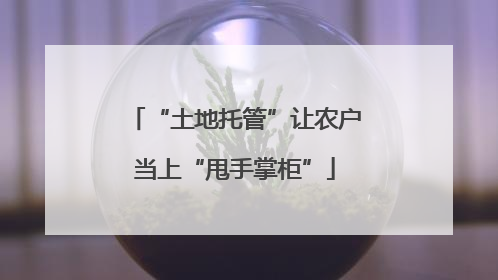 “土地托管”让农户当上“甩手掌柜”