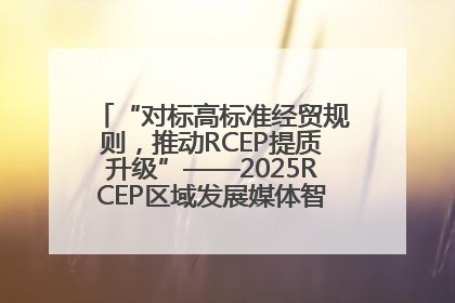 “对标高标准经贸规则，推动RCEP提质升级”——2025RCEP区域发展媒体智库论坛举行专题对话