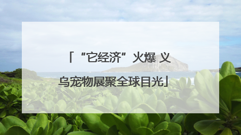 “它经济”火爆 义乌宠物展聚全球目光