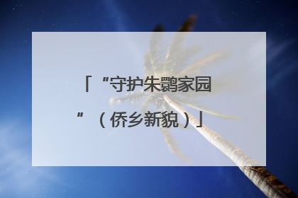 “守护朱鹮家园”（侨乡新貌）