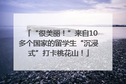 “很美丽！”来自10多个国家的留学生“沉浸式”打卡桃花山！