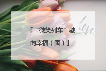 “微笑列车”驶向幸福（图）