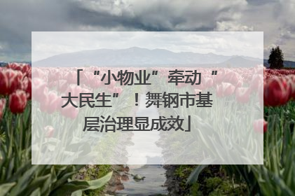 “小物业”牵动“大民生”！舞钢市基层治理显成效