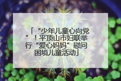“少年儿童心向党”！平顶山市妇联举行“爱心妈妈”慰问困境儿童活动