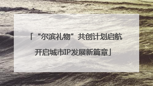 “尔滨礼物”共创计划启航 开启城市IP发展新篇章
