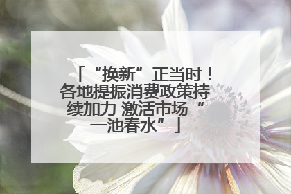 “换新”正当时！各地提振消费政策持续加力 激活市场“一池春水”