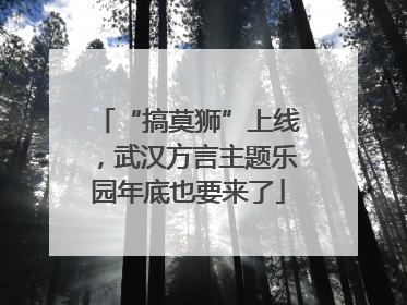 “搞莫狮”上线，武汉方言主题乐园年底也要来了