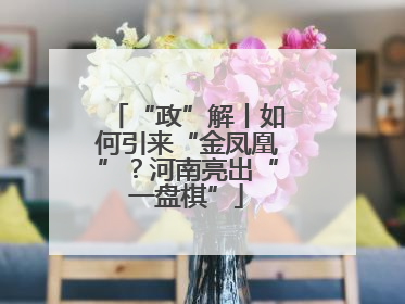 “政”解丨如何引来“金凤凰”？河南亮出“一盘棋”
