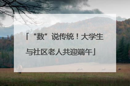 “数”说传统！大学生与社区老人共迎端午