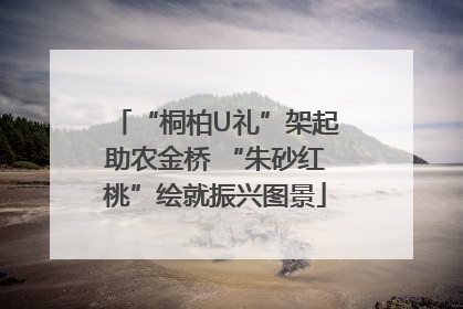 “桐柏U礼”架起助农金桥 “朱砂红桃”绘就振兴图景