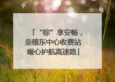 “棕”享安畅，桑植东中心收费站暖心护航高速路