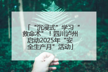 “沉浸式”学习“救命术”！四川泸州启动2025年“安全生产月”活动