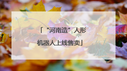 “河南造”人形机器人上线售卖