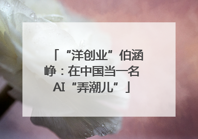 “洋创业”伯涵峥：在中国当一名AI“弄潮儿”