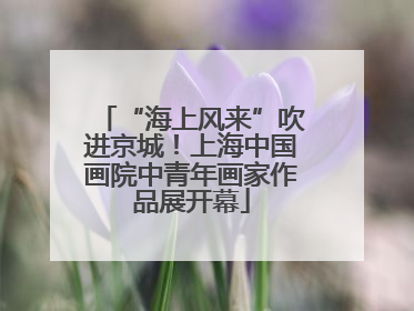 “海上风来”吹进京城！上海中国画院中青年画家作品展开幕