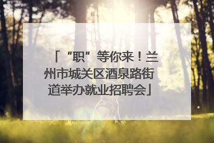 “职”等你来！兰州市城关区酒泉路街道举办就业招聘会