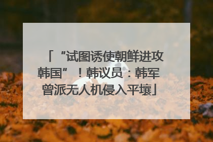 “试图诱使朝鲜进攻韩国”！韩议员：韩军曾派无人机侵入平壤