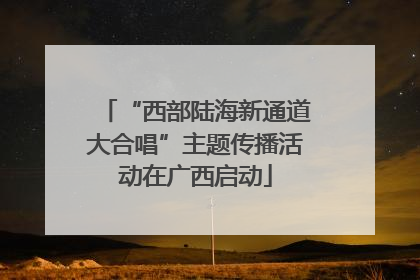 “西部陆海新通道大合唱”主题传播活动在广西启动