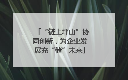 “链上坪山”协同创新，为企业发展充“储”未来