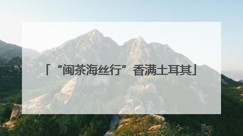 “闽茶海丝行”香满土耳其