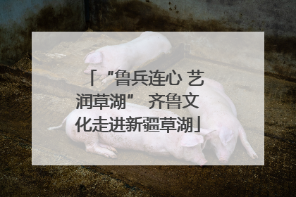 “鲁兵连心 艺润草湖” 齐鲁文化走进新疆草湖