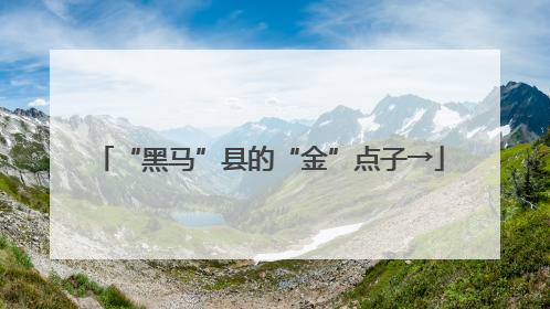 “黑马”县的“金”点子→