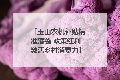 玉山农机补贴精准落袋 政策红利激活乡村消费力