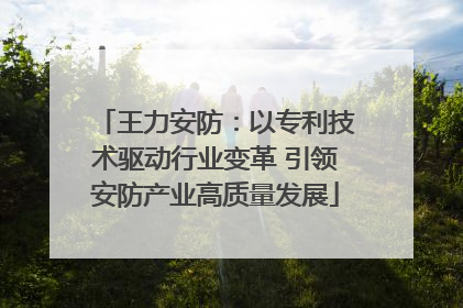 王力安防：以专利技术驱动行业变革 引领安防产业高质量发展